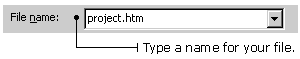 Enter a file name in the text box.